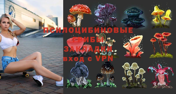 ешки Алзамай