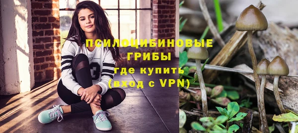 мдма Протвино