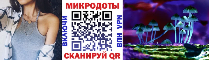 где купить   Балашов  Псилоцибиновые грибы Psilocybe 